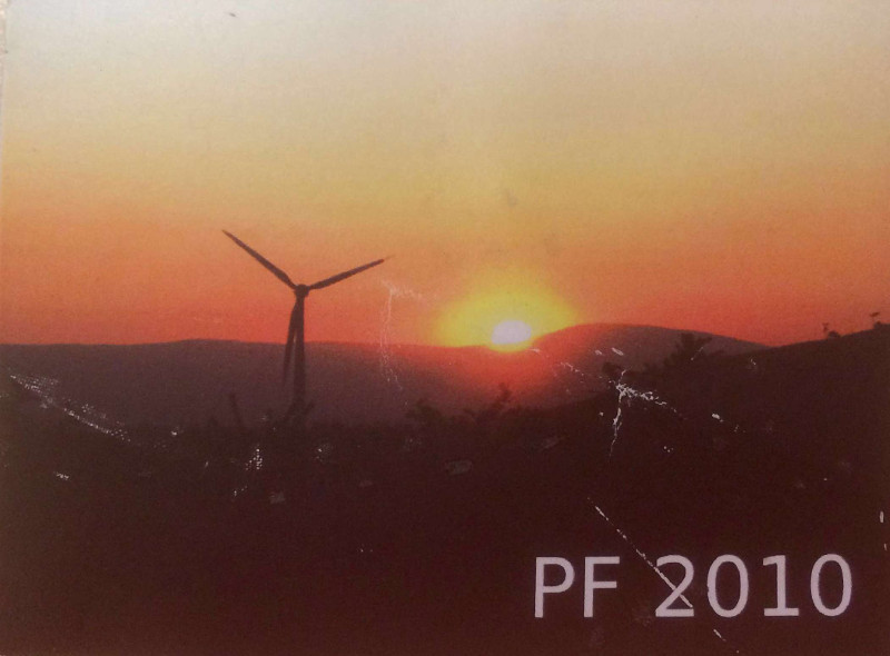 PF 2010